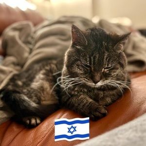 Meet your Posher, Dana